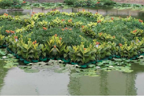 常見(jiàn)河道、濕地水生態(tài)修復(fù)技術(shù)節(jié)選
